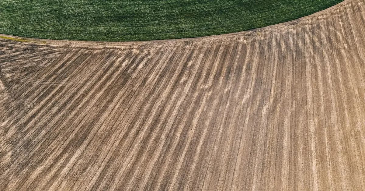 Les meilleures pratiques pour la gestion des ventes agricoles