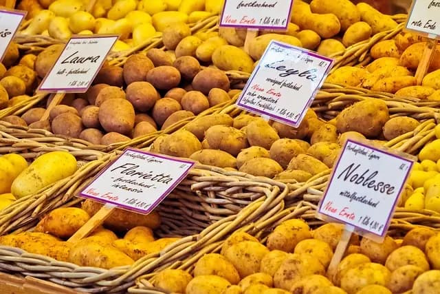 Les erreurs courantes à éviter lors de la vente agricole