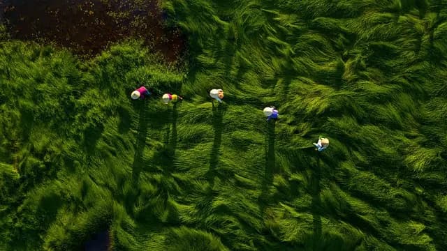 Comment choisir la meilleure stratégie de vente agricole