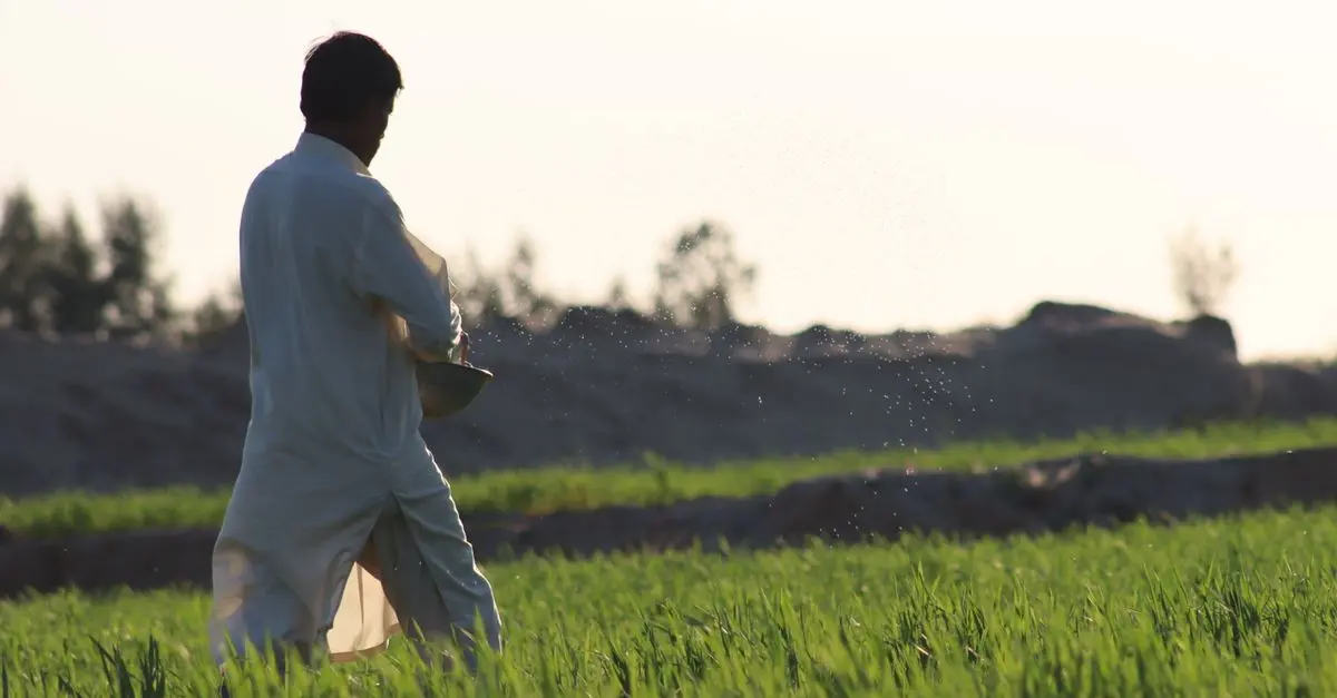 Comment optimiser votre stratégie de vente agricole en 5 étapes