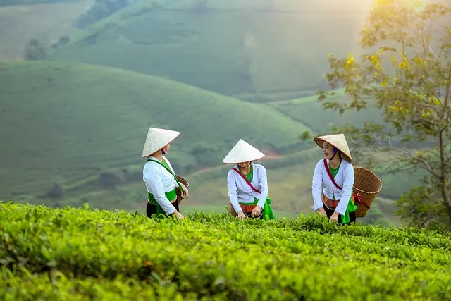 5 étapes pour réussir la vente en ligne de vos produits agricoles