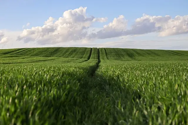Comment faire reconnaître votre marque de produits agricoles