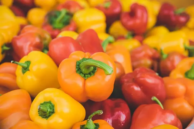 5 étapes pour réussir la vente de vos produits bio