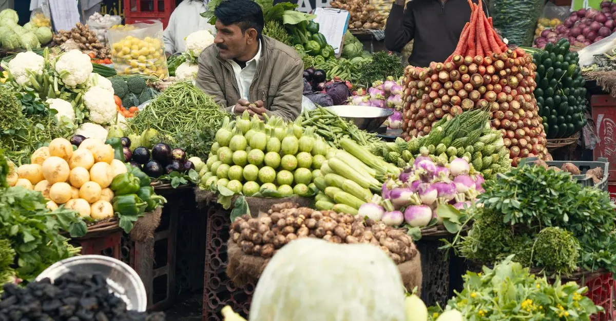 Comment diversifier vos canaux de vente agricole efficacement