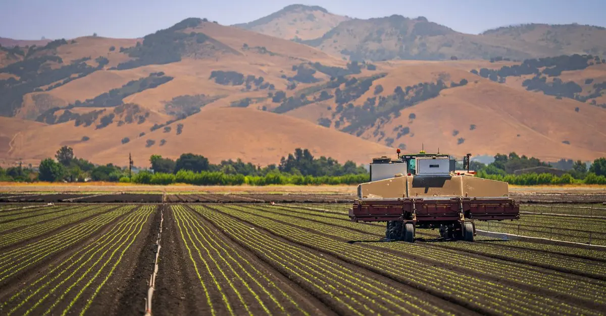 Les meilleures pratiques pour réussir vos ventes de produits agricoles