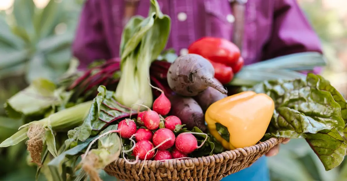10 conseils pour réussir votre vente directe à la ferme
