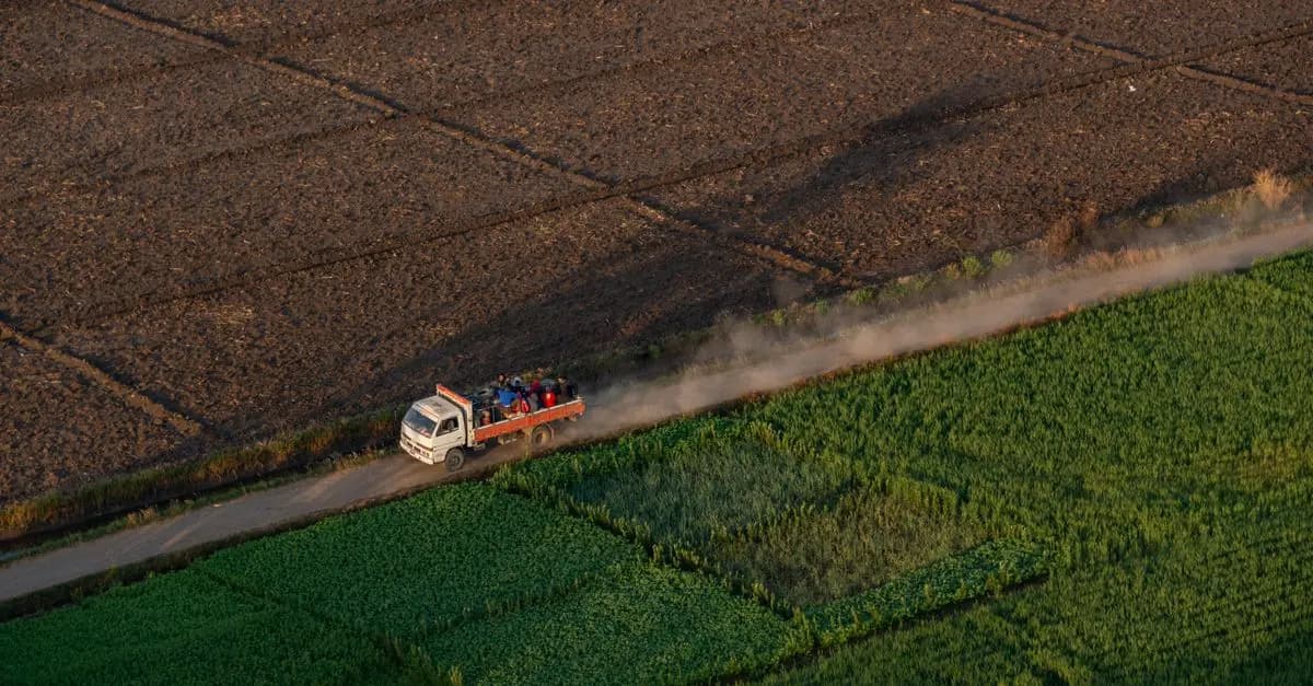 Optimiser la logistique pour la vente de produits frais