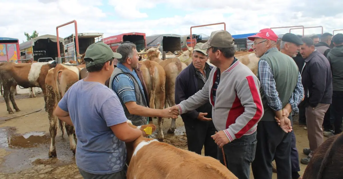Guide pratique pour réussir votre négociation en vente agricole