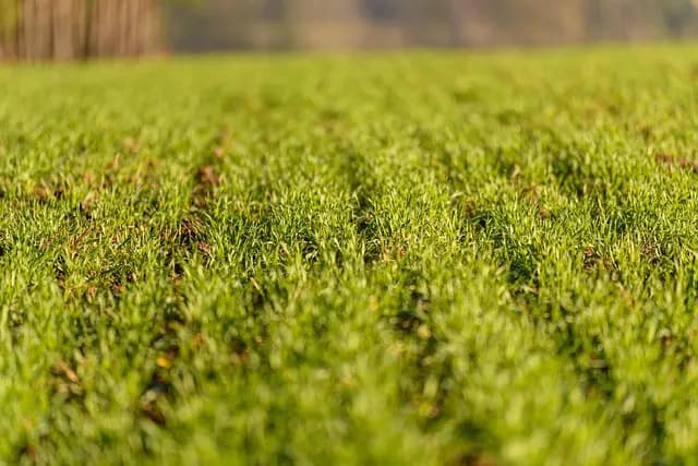 Comment analyser le marché pour réussir votre vente agricole