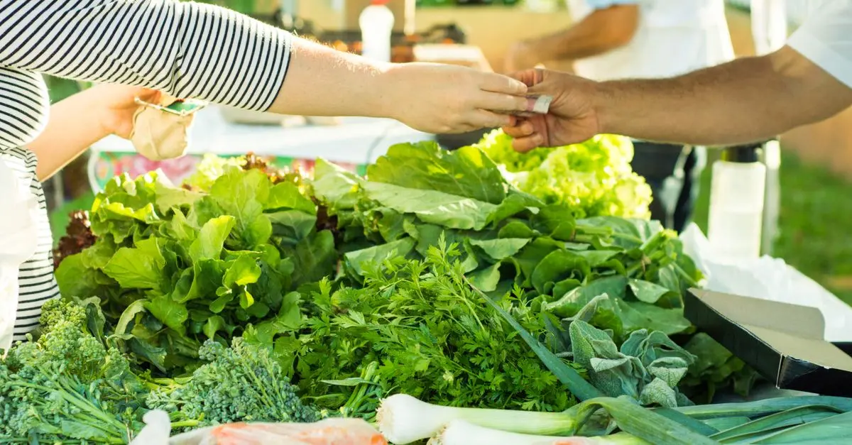 Marketing direct : stratégie efficace pour les petits producteurs