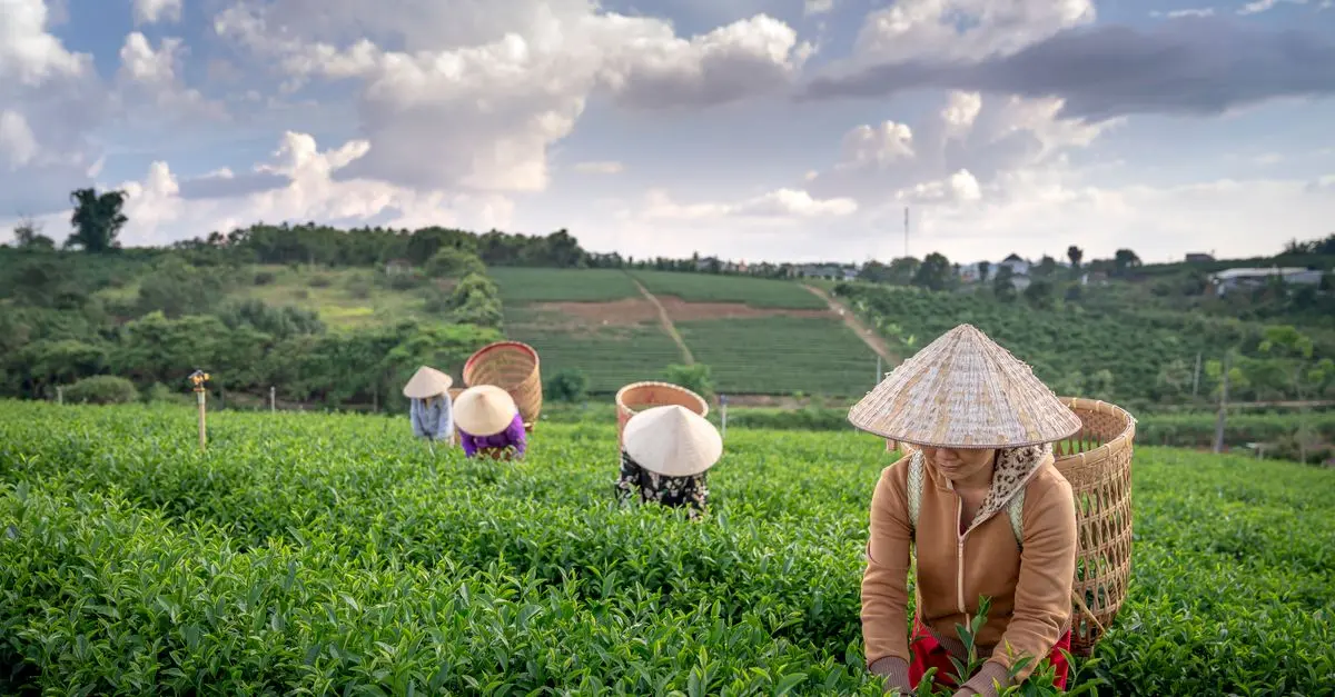 Comment utiliser les labels bio pour valoriser vos ventes agricoles