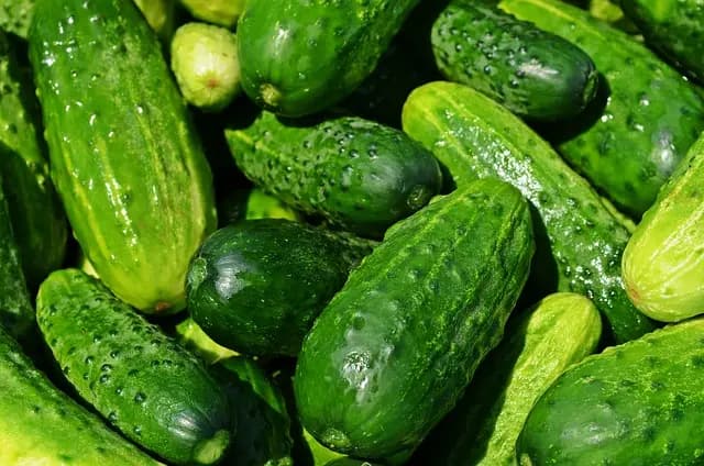 Les meilleures pratiques pour la vente directe à la ferme