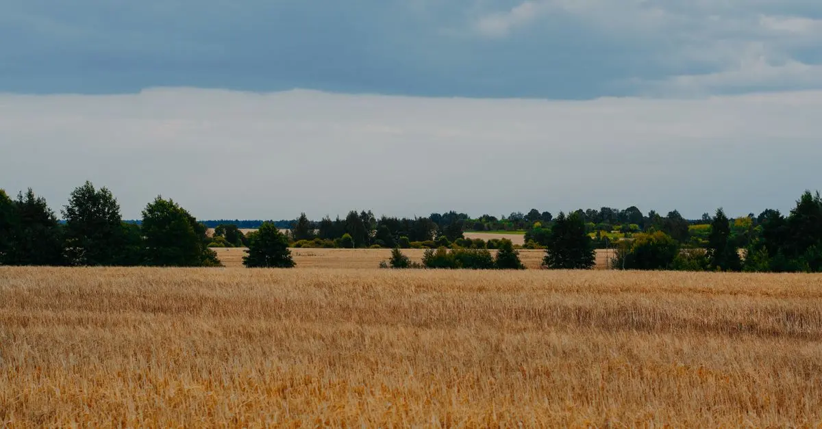 Comment préparer votre exploitation pour la saison des récoltes