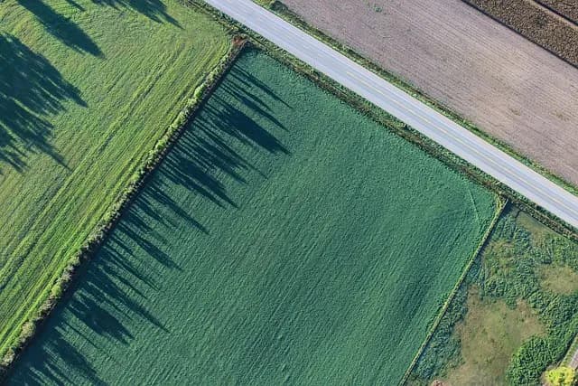 Comment développer une stratégie de vente efficace pour vos produits agricoles