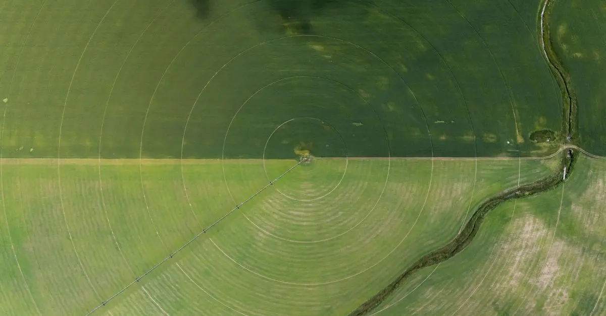 Les tendances de la vente agricole en 2026
