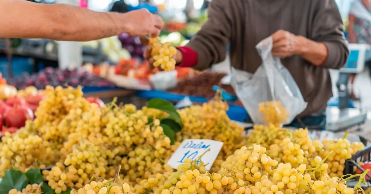 Les meilleurs canaux de vente pour les producteurs agricoles