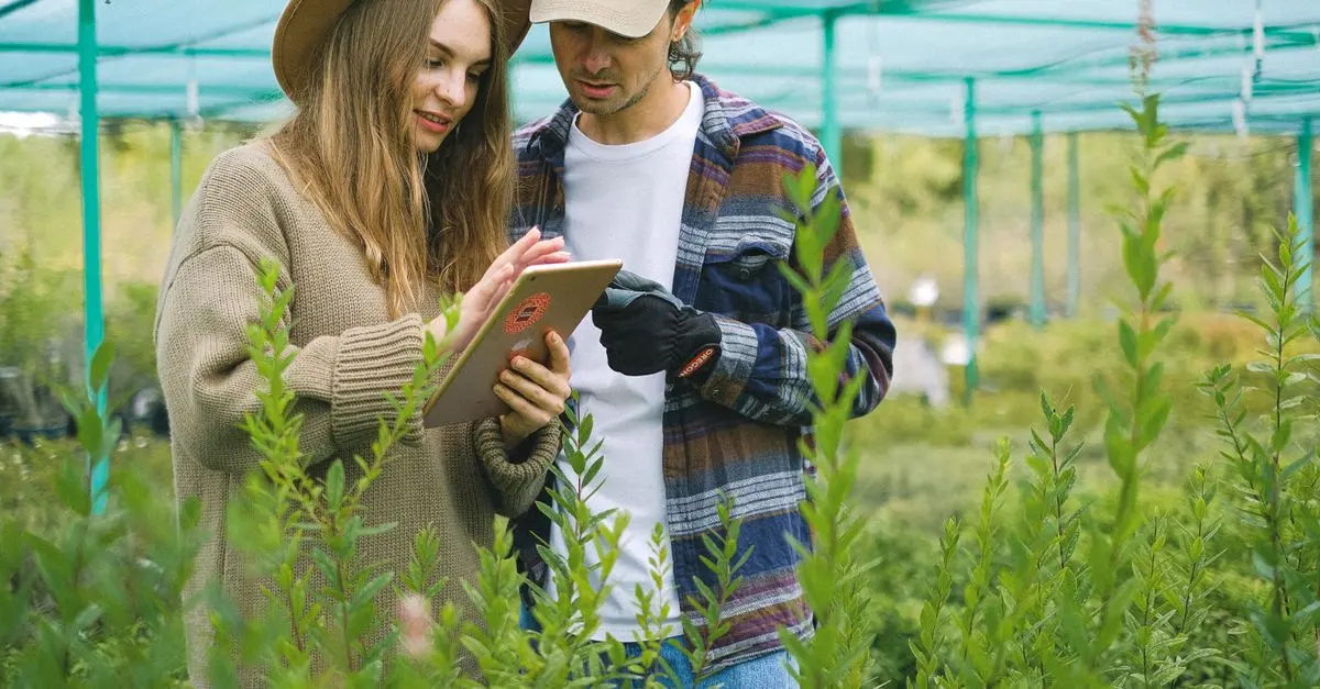 Pourquoi investir dans le marketing de contenu pour vos produits agricoles