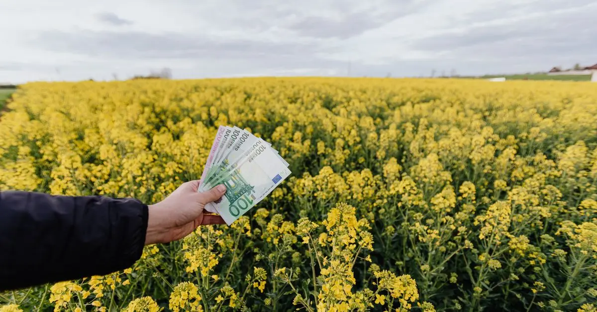Les meilleures pratiques pour vendre vos produits agricoles