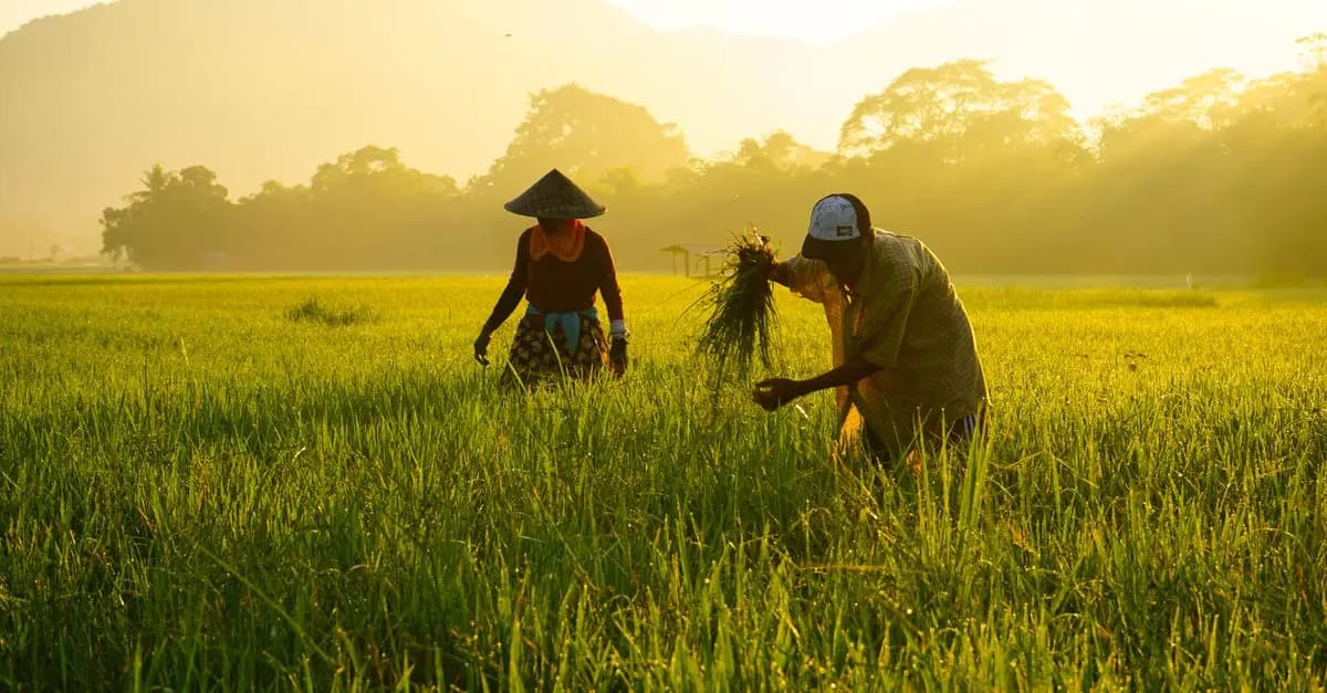 10 outils numériques pour faciliter la vente directe agricole