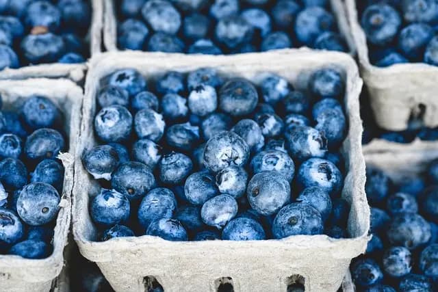 Les meilleures pratiques pour optimiser vos ventes agricoles