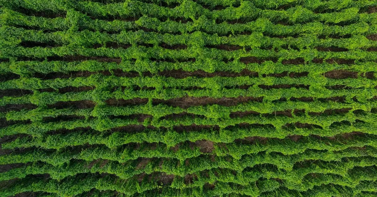 Les meilleures pratiques pour la vente agricole durable