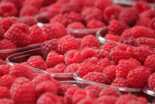 Comment réussir à vendre vos produits agricoles en circuit court