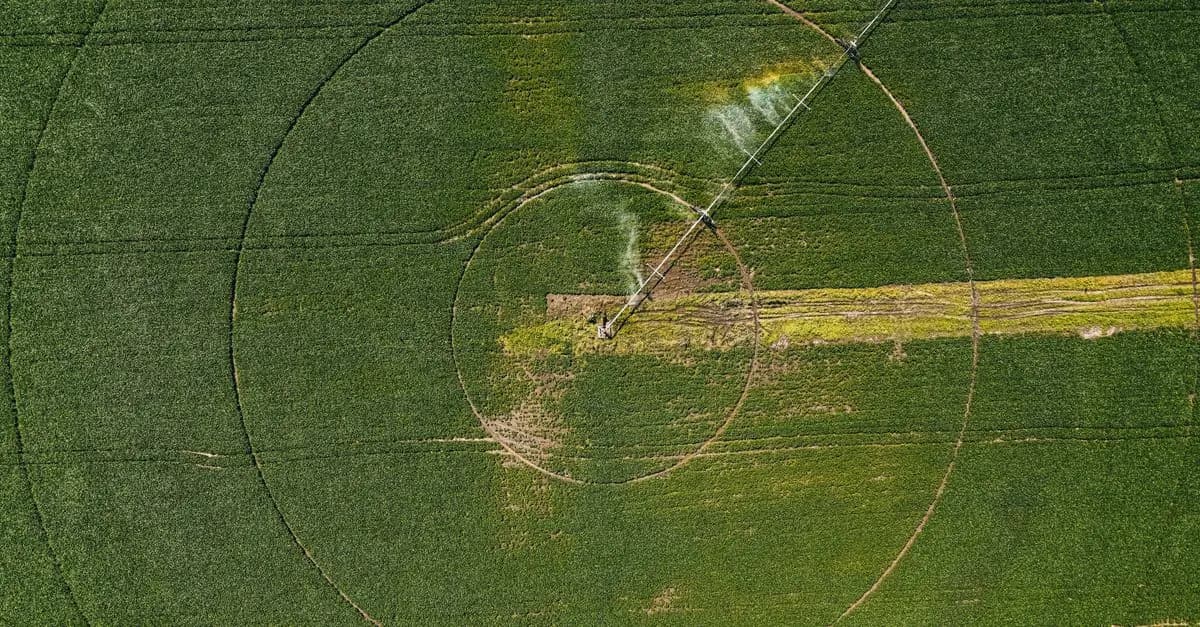 Comment utiliser le marketing d'influence pour vos ventes agricoles
