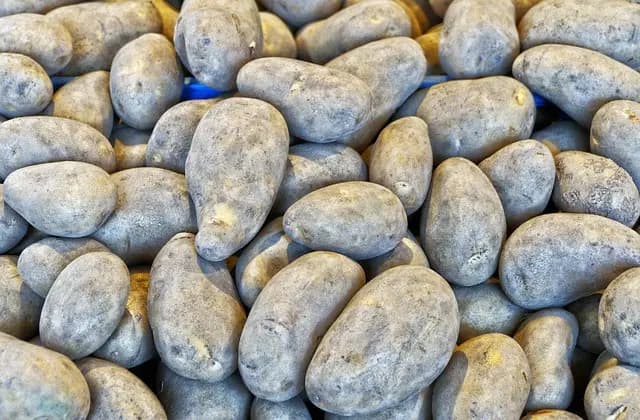 Comment choisir le bon marché pour vos produits agricoles
