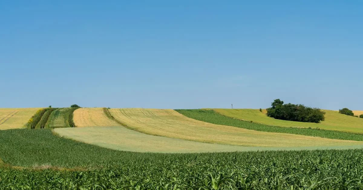 Comment diversifier vos produits pour booster vos ventes agricoles
