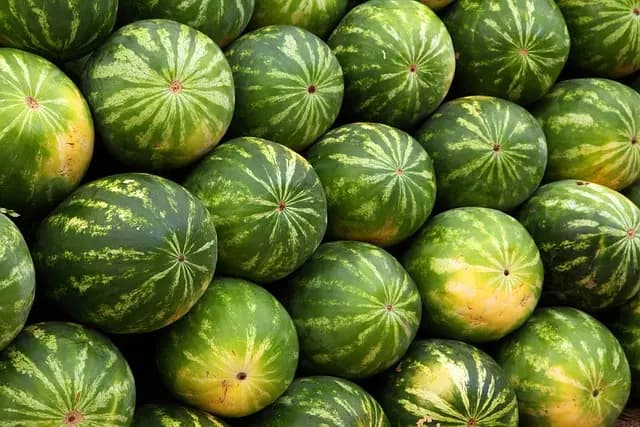 Les avantages de la vente en circuit court pour les agriculteurs