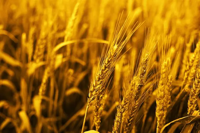Comment réussir votre stratégie de prix pour la vente agricole