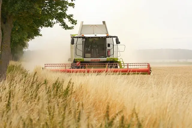 Comment développer une stratégie de contenu pour la vente agricole