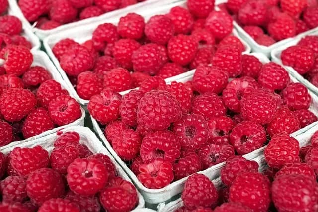 5 astuces pour maximiser vos ventes agricoles sur les marchés locaux