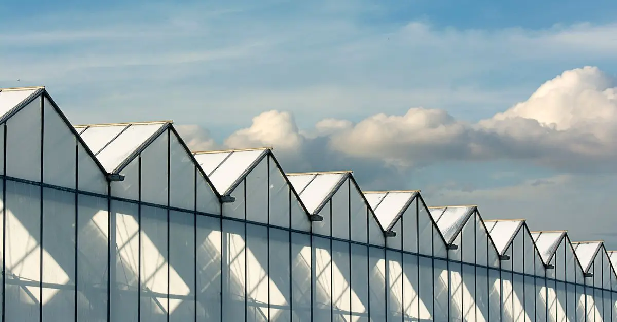 Quels certificats choisir pour vos produits agricoles