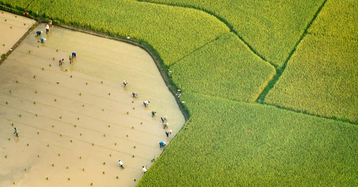 Comment renforcer la fidélisation des clients dans la vente agricole