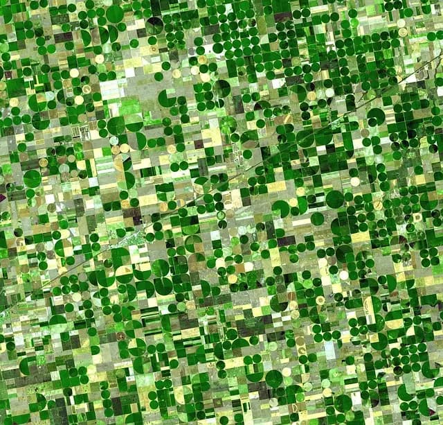 Comment optimiser vos ventes agricoles avec une stratégie de prix efficace