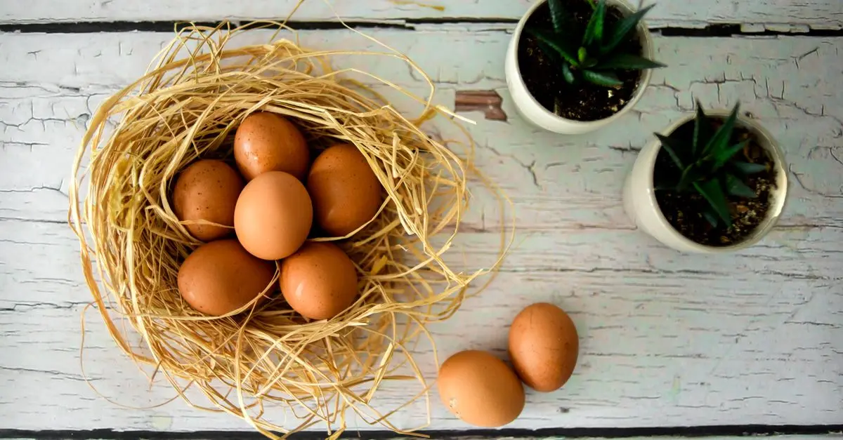 5 techniques pour améliorer l’emballage de vos produits agricoles