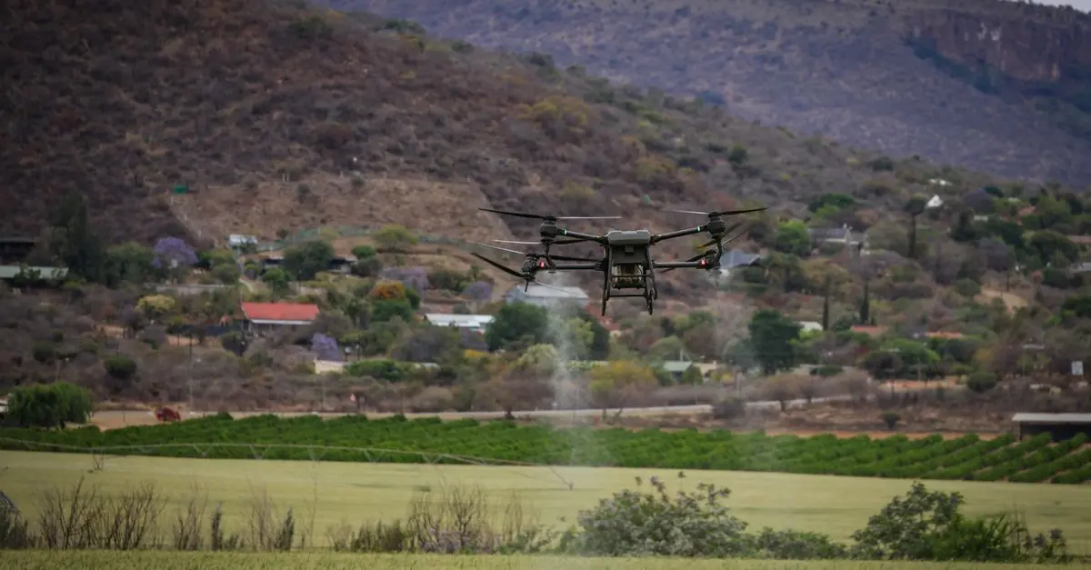 Comment bien adapter sa production agricole aux demandes du marché