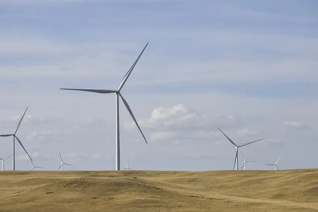 Optimiser votre stratégie de vente en agriculture durable