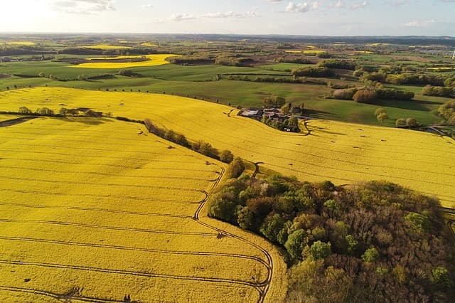 Les meilleures pratiques pour optimiser vos ventes agricoles