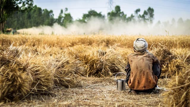 Comment évaluer la rentabilité de votre vente agricole