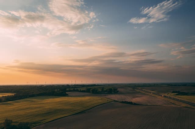 Comment établir une stratégie de vente efficace pour votre ferme