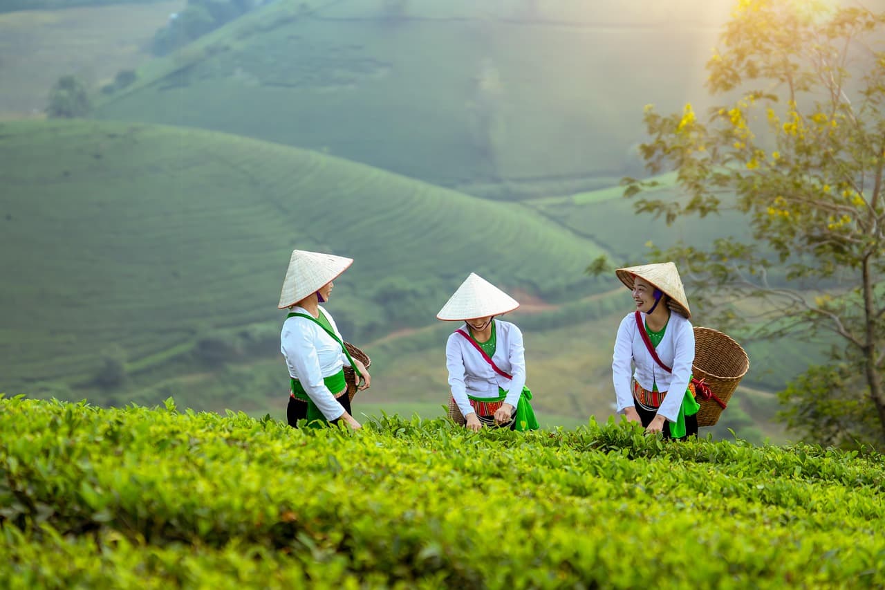 5 astuces pour améliorer la fidélisation de vos clients agricoles