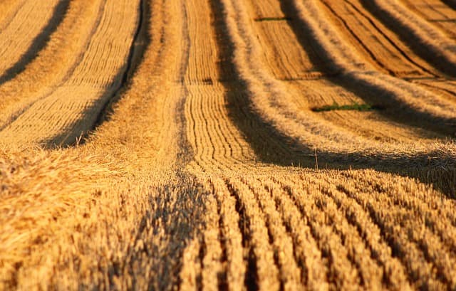 Comment réussir votre stratégie de prix pour la vente agricole