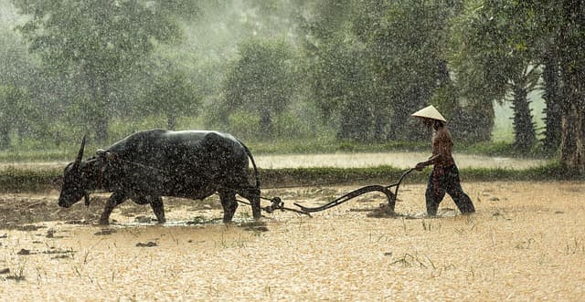 Comment choisir la meilleure stratégie de vente pour vos produits agricoles