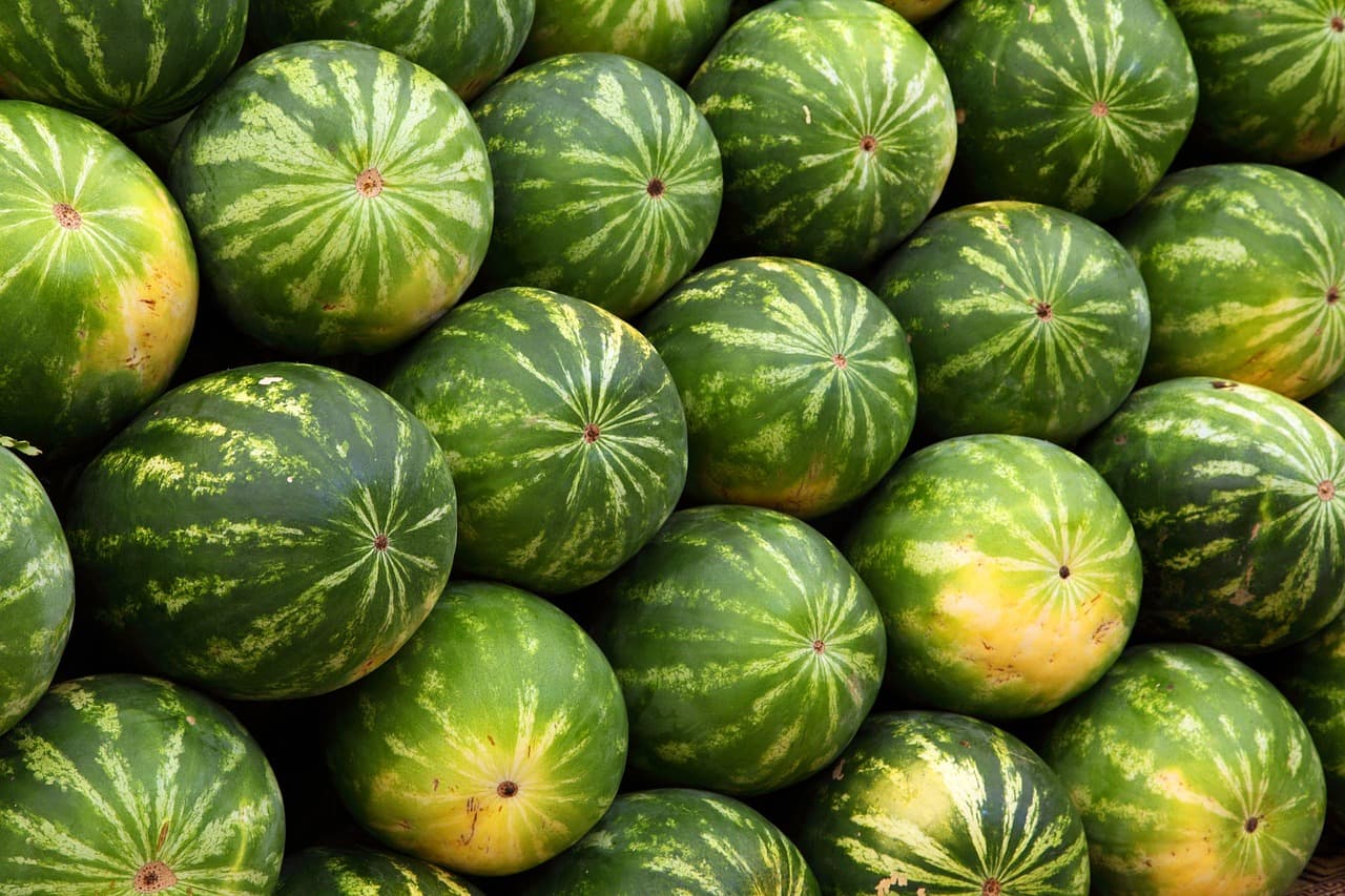 Comment utiliser les réseaux sociaux pour vendre vos produits agricoles