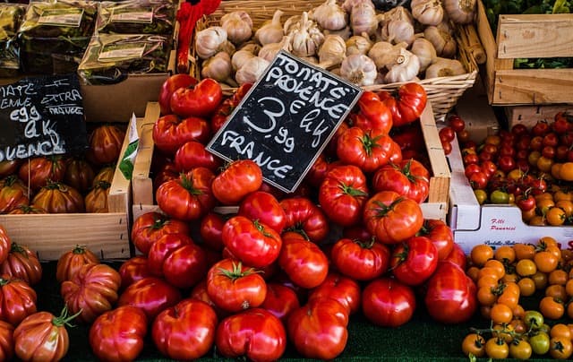 Comment établir un plan de vente efficace pour vos produits agricoles