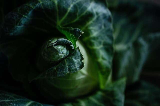 Comment développer une stratégie de vente efficace pour vos produits agricoles