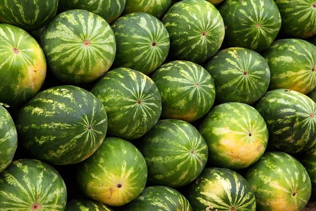 10 stratégies efficaces pour booster vos ventes agricoles
